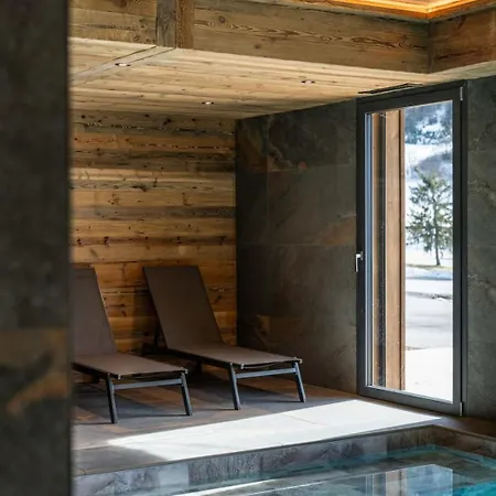 Chalet ECRIN DES CIMES 14 p - piscine pétanque Karaoké *